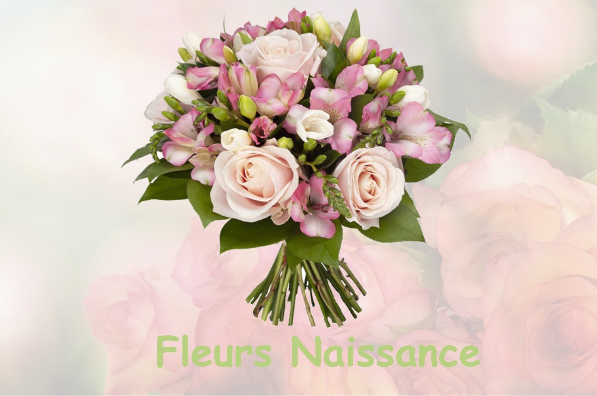 fleurs naissance CASSAGNABERE-TOURNAS