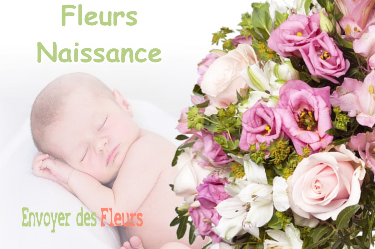 lIVRAISON FLEURS NAISSANCE à CASSAGNABERE-TOURNAS